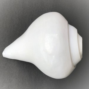 1586939137_Blowing Shankha_2.JPG